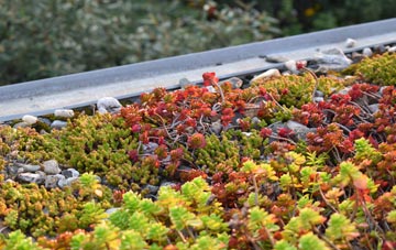 the cost of Tuebrook green roof installation